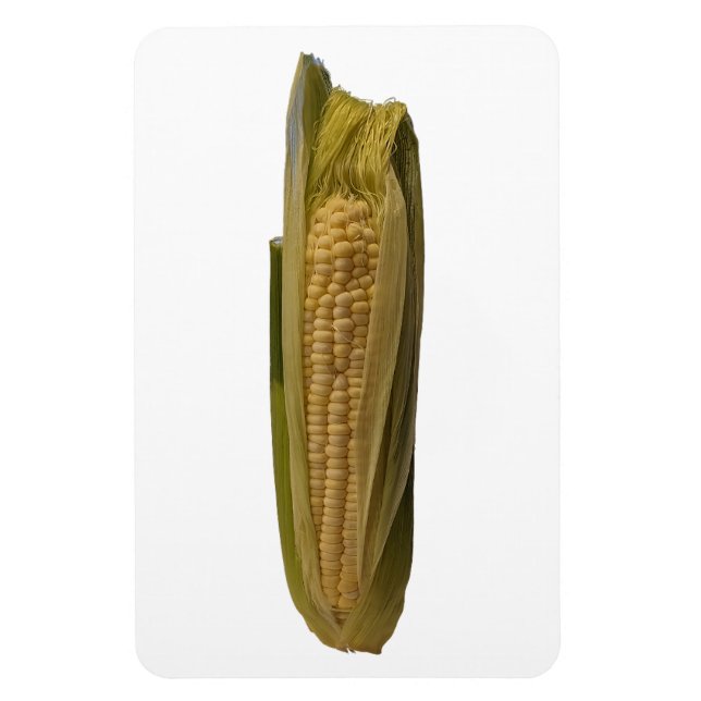Corn Photot Magnet (Vertical)