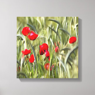Corn Poppies Canvas Print