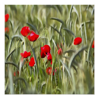 Corn Poppies Poster