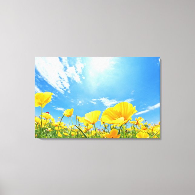 Corn Poppy Field Canvas Print (Front)