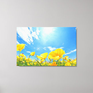 Corn Poppy Field Canvas Print