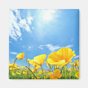 Corn Poppy Field Magnet