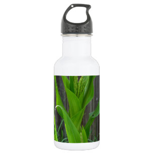 Corn Stalk 532 Ml Water Bottle