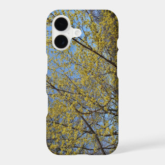 Cornelian Cherry Dogwood and Blue Sky Floral