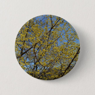 Cornelian Cherry Dogwood and Blue Sky Floral 6 Cm Round Badge