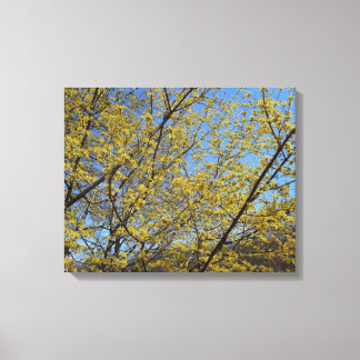 Cornelian Cherry Dogwood and Blue Sky Floral Canvas Print