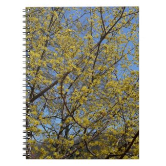 Cornelian Cherry Dogwood and Blue Sky Floral Spiral Notebook