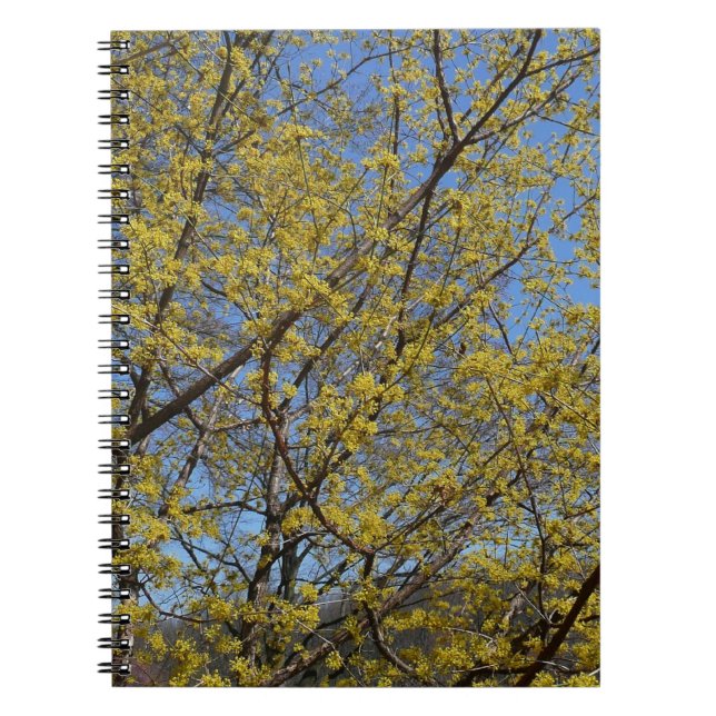 Cornelian Cherry Dogwood and Blue Sky Floral Spiral Notebook (Front)