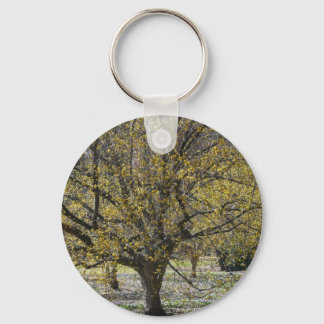 Cornelian Cherry Dogwood and Glory of the Snow Key Ring