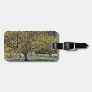 Cornelian Cherry Dogwood and Glory of the Snow Luggage Tag