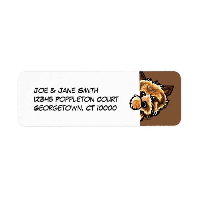 Corner Norwich Terrier (Front)