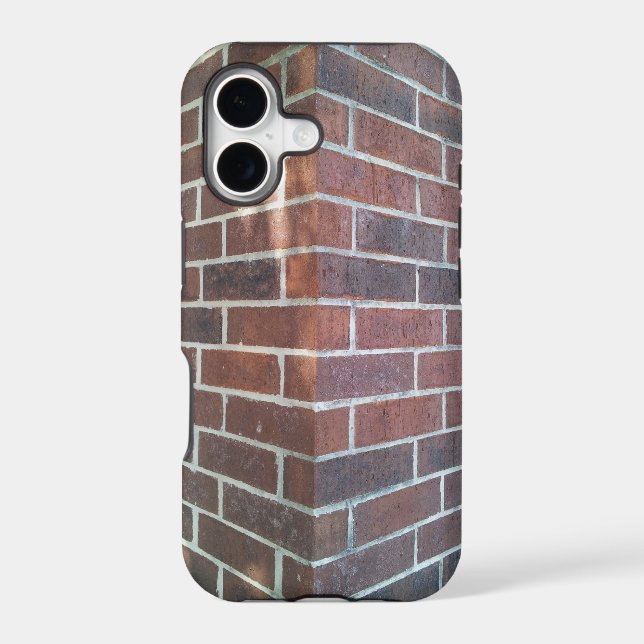 Corner of a Red Brick Building. (Back)