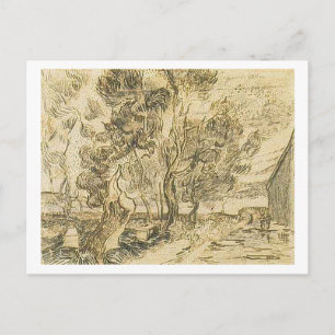 Corner of Asylum and Garden, Vincent van Gogh Postcard
