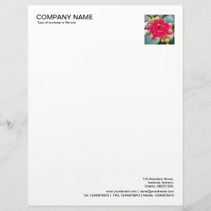 Corner Photo - Kalanchoe Flower Custom Letterhead