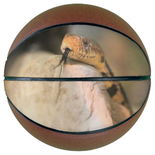 Corney Basketball