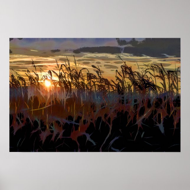Cornfield sunrise poster (Front)