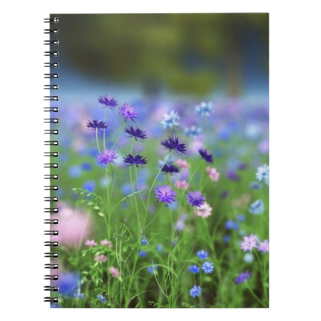 Cornflower Blue Notebook (Front)