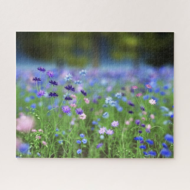 Cornflower Blue Puzzle (Horizontal)