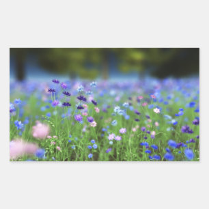 Cornflower Blue Stickers