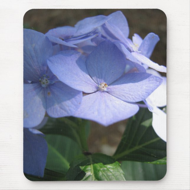 cornflower blues mouse pad (Front)