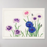 Cornflower by Tanigami Konan