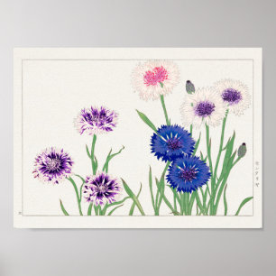 Cornflower by Tanigami Konan Poster