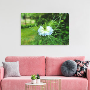 Cornflower Canvas Print
