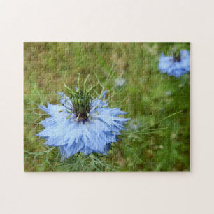 Cornflower Photo Puzzle