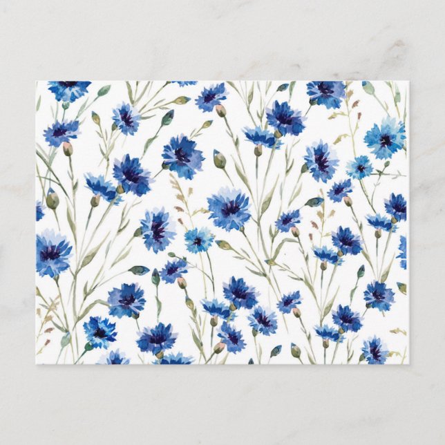 cornflower postcard (Front)