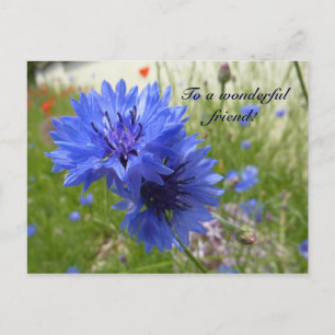 Cornflower power! postcard