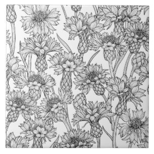 Cornflowers, black and white tile