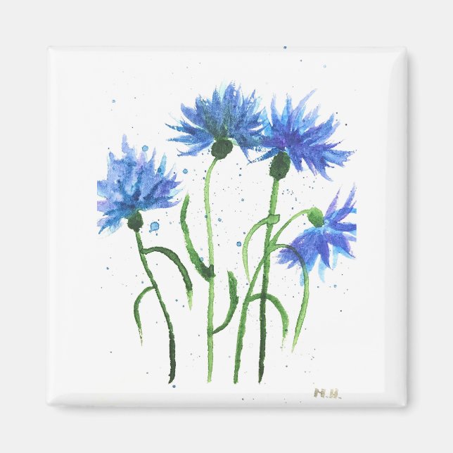 Cornflowers blue flowers watercolor magnet (Front)