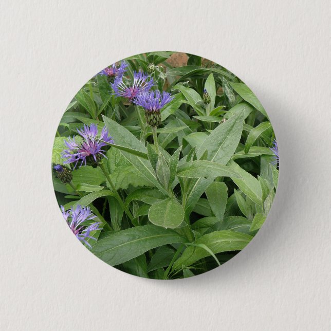 Cornflowers Button (Front)