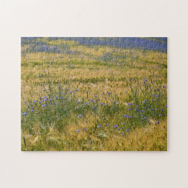 Cornflowers Field Jigsaw Puzzle (Horizontal)