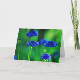 Cornflowers greeting card