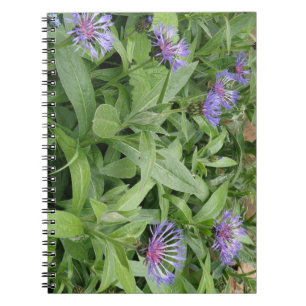 Cornflowers Notebook