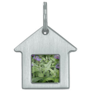 Cornflowers Pet Tag