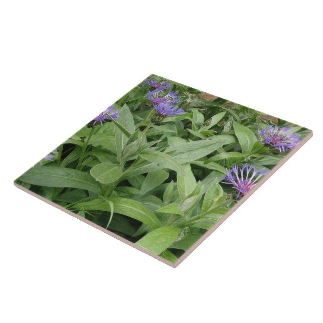 Cornflowers Tile (Side)