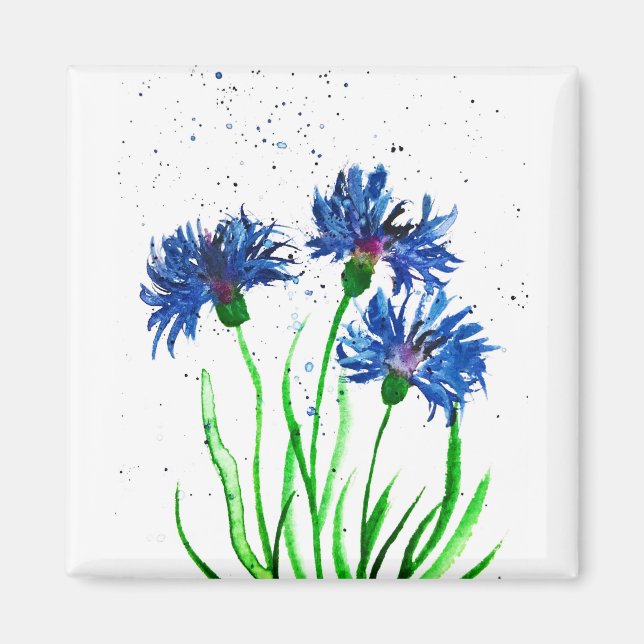 Cornflowers watercolour magnet (Front)