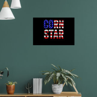 Cornhole Funny Bean Bag Toss Corn Star USA Flag Poster
