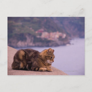 Corniglia, Cinque Terre, Italy Postcard