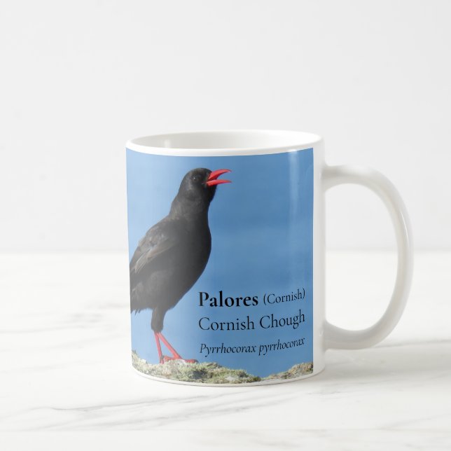 Cornish Choughs (Palores) Pyrrhocorax pyrrhocorax  Coffee Mug (Right)