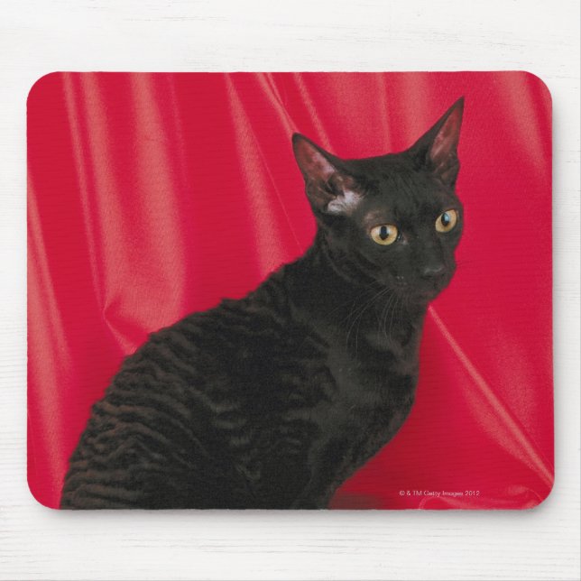 Cornish rex cat mouse pad (Front)