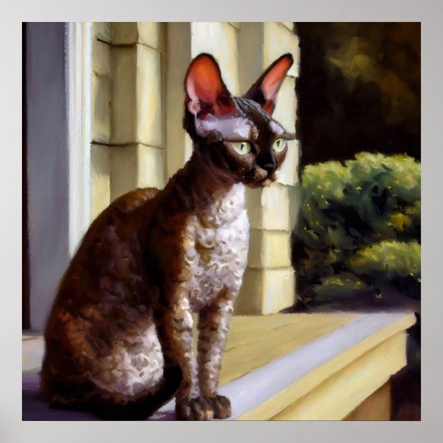 Cornish Rex Cat  Poster (Front)