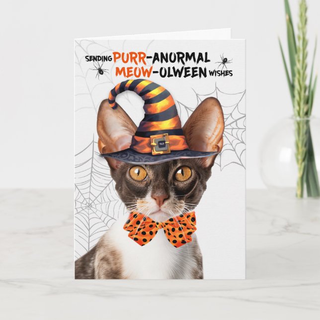 Cornish Rex Halloween Cat PURRanormal MEOWolween Holiday Card (Front)
