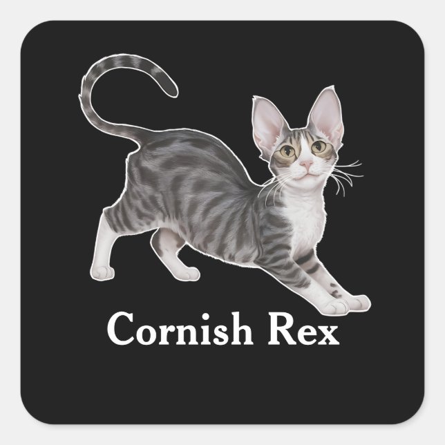 Cornish Rex Square Sticker (Front)