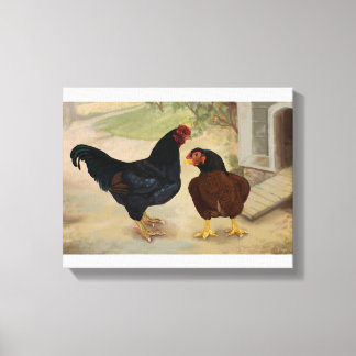 Cornish Rooster and Hen Canvas Print