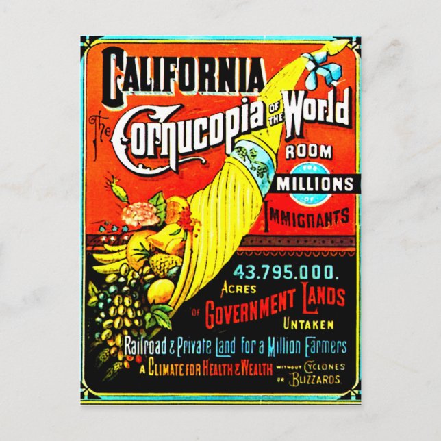 Cornucopia - Postcard (Front)