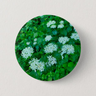 Cornus sanguinea Badge