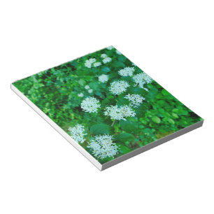 Cornus sanguinea  notepad
